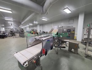 Damaged Hamill APS Commercial Microgreens Harvester - Parts/Repair - Maryland